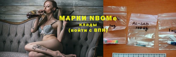 spice Новодвинск