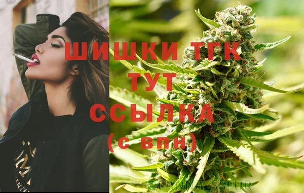 СК Новокубанск