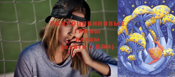spice Новодвинск