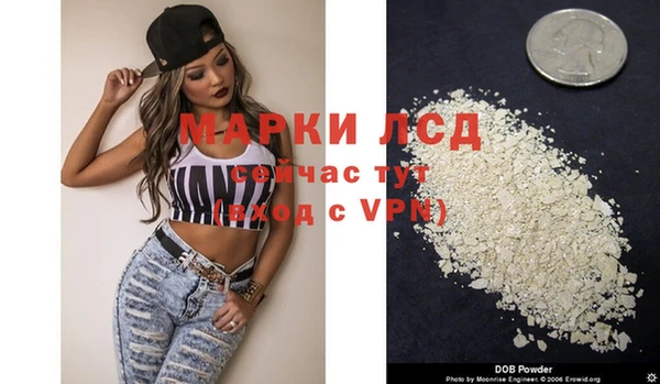 spice Новодвинск