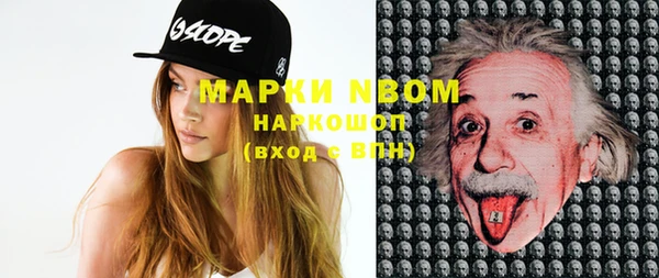 индика Краснослободск